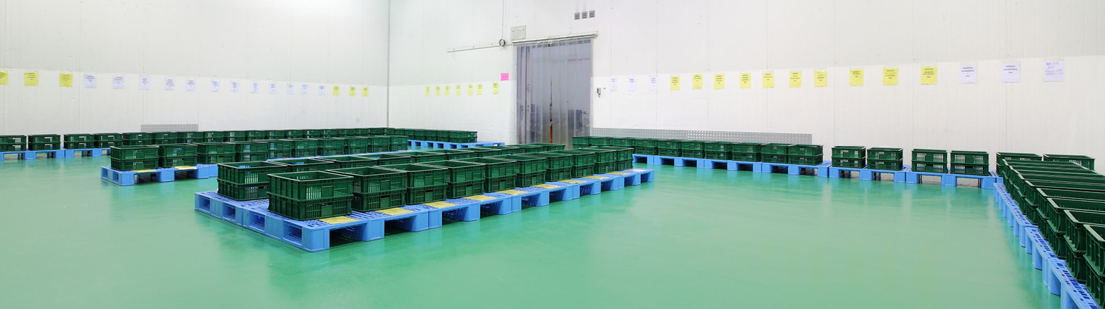Looking for HACCP International 
Certified Antimicrobial Flooring?