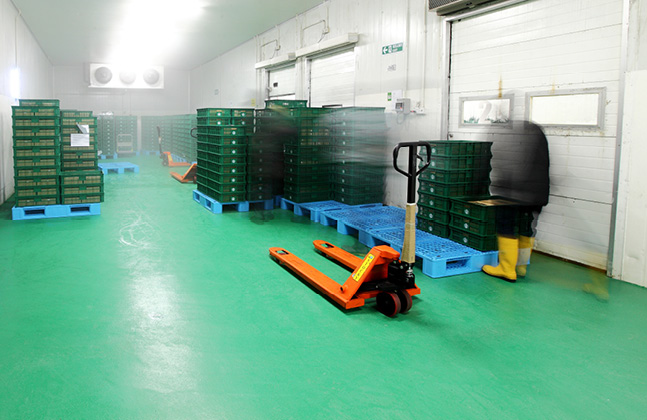 Flowfresh Floors Give Germs The Slip In the Food and Beverage Sector