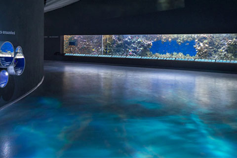 Expressions: Artistic Floor Resins