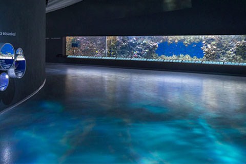 Expressions: Artistic Floor Resins