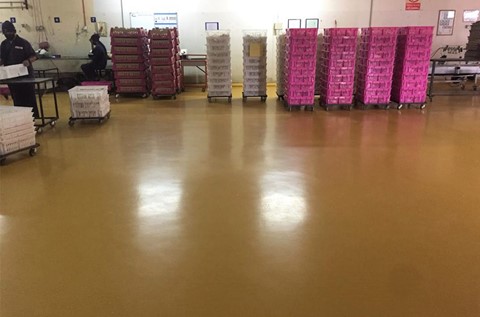 Flowcrete Asia Provides Fresh Flooring for Hatchery Plant