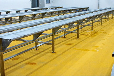 HACCP International Certified