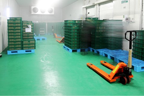 Slip Resistant