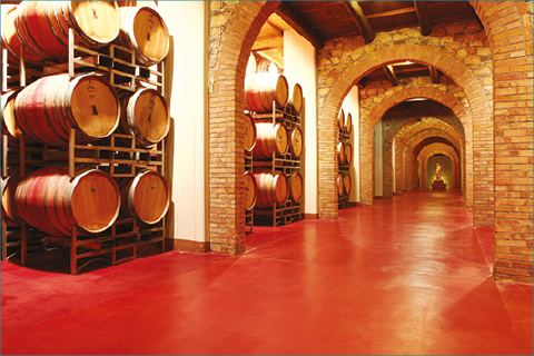 How to Improve a Wine Cellar’s Hygiene Using Polymer Floor Solutions
