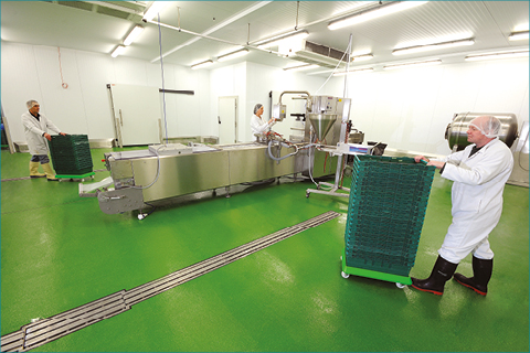 The Importance of Resin Flooring within the Safe Design of a Food Processing Facility
